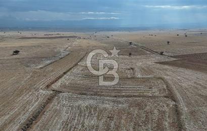 Çivril Bozdağ’da Kadastro Yola Cepheli, 4950 m² Müstakil Tapulu Tarla!