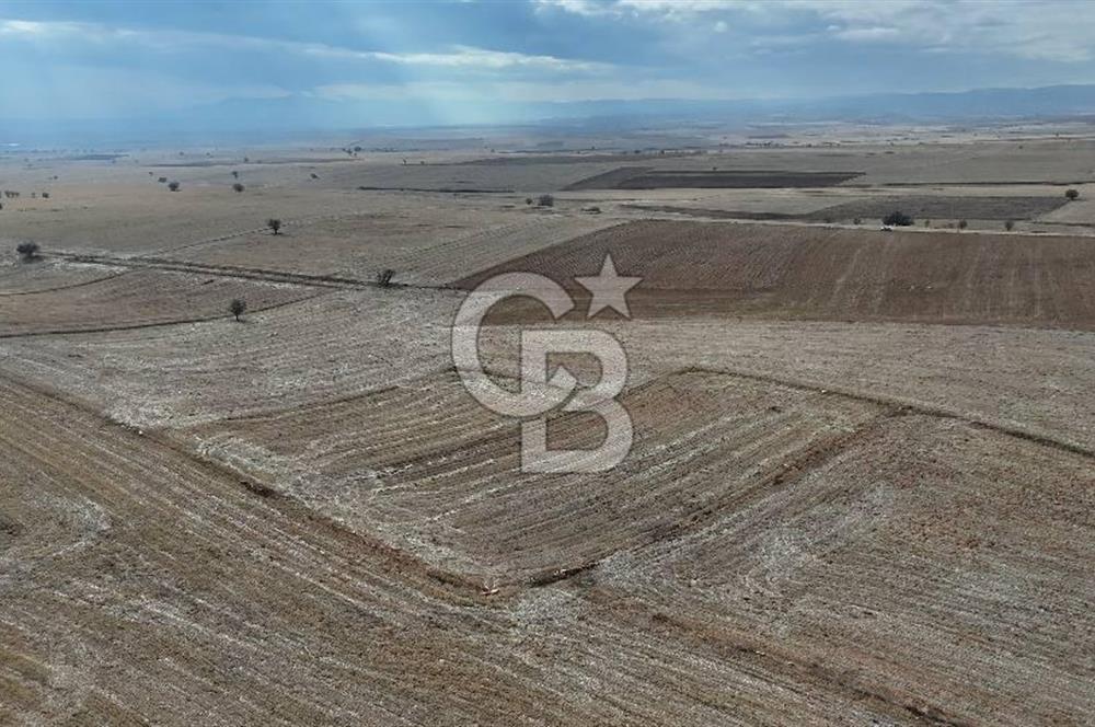 Çivril Bozdağ’da Kadastro Yola Cepheli, 4950 m² Müstakil Tapulu Tarla!