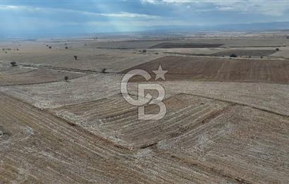 Çivril Bozdağ’da Kadastro Yola Cepheli, 4950 m² Müstakil Tapulu Tarla!