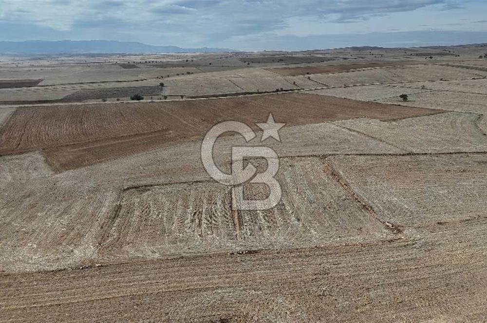 Çivril Bozdağ’da Kadastro Yola Cepheli, 4950 m² Müstakil Tapulu Tarla!