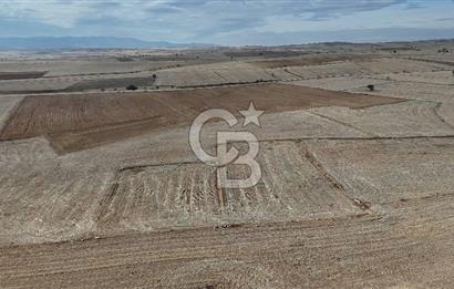 Çivril Bozdağ’da Kadastro Yola Cepheli, 4950 m² Müstakil Tapulu Tarla!