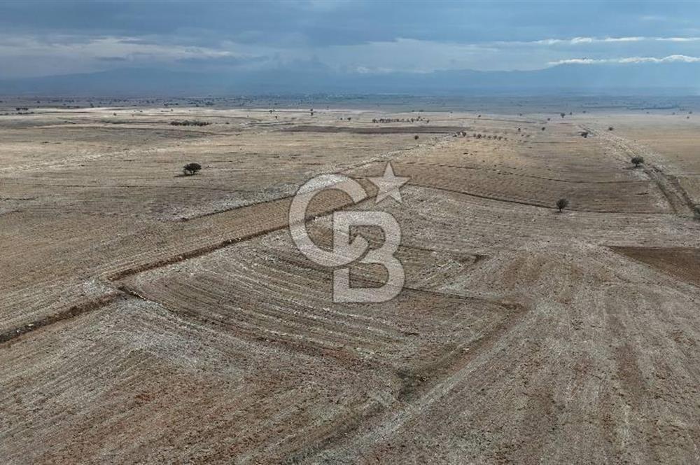 Çivril Bozdağ’da Kadastro Yola Cepheli, 4950 m² Müstakil Tapulu Tarla!