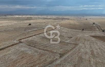 Çivril Bozdağ’da Kadastro Yola Cepheli, 4950 m² Müstakil Tapulu Tarla!