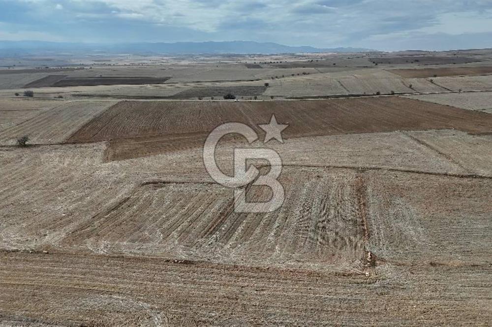 Çivril Bozdağ’da Kadastro Yola Cepheli, 4950 m² Müstakil Tapulu Tarla!