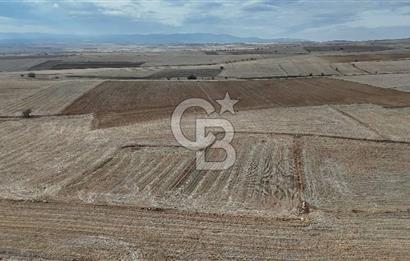 Çivril Bozdağ’da Kadastro Yola Cepheli, 4950 m² Müstakil Tapulu Tarla!