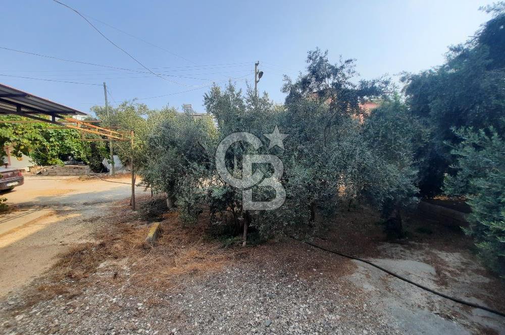 Mersin Erdemli Tömük Mh de 2 katlı Müstakil 2 Adet 3+1 Satılık Daire  