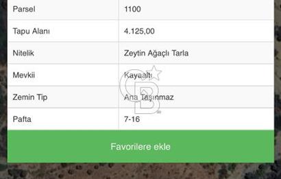 İzmir Karaburun Sarpıncık Satılık Zeytin Ağaçlı Tarla