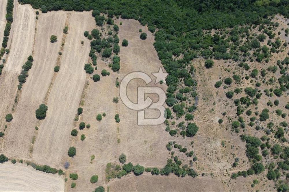 ÇANAKKALE ŞEVKETİYEDE SATILIK TARLA
