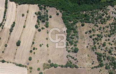 ÇANAKKALE ŞEVKETİYEDE SATILIK TARLA