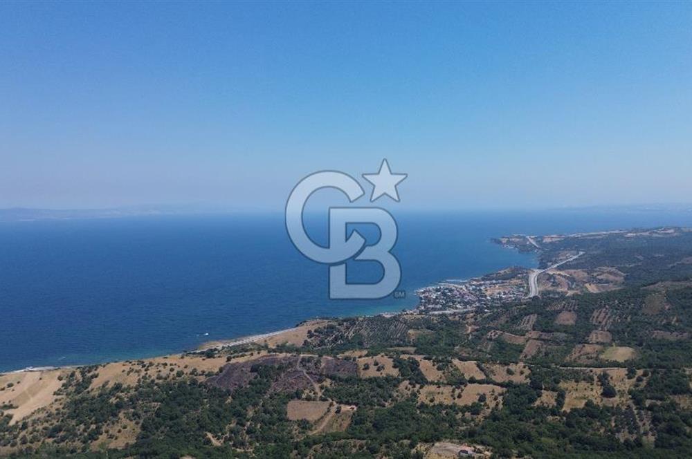 ÇANAKKALE ŞEVKETİYEDE SATILIK TARLA