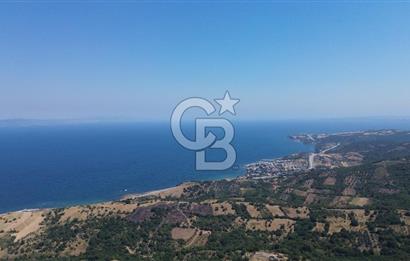 ÇANAKKALE ŞEVKETİYEDE SATILIK TARLA