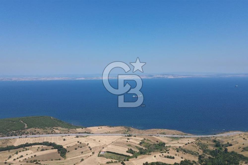 ÇANAKKALE ŞEVKETİYEDE SATILIK TARLA