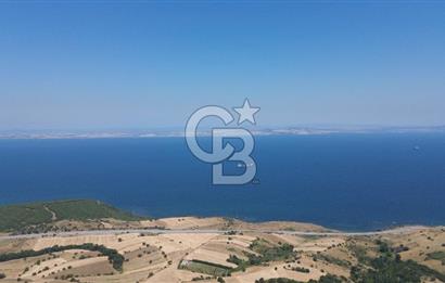 ÇANAKKALE ŞEVKETİYEDE SATILIK TARLA