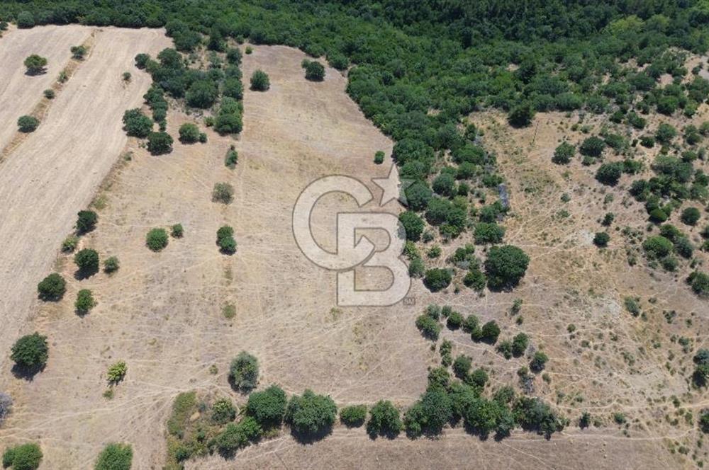ÇANAKKALE ŞEVKETİYEDE SATILIK TARLA
