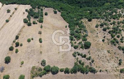 ÇANAKKALE ŞEVKETİYEDE SATILIK TARLA