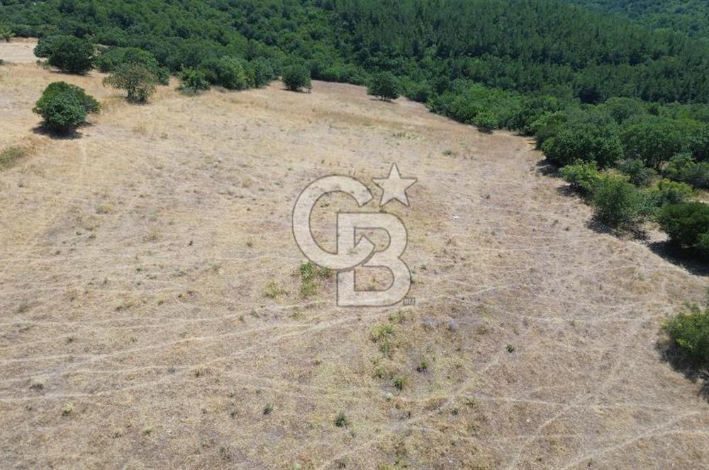 ÇANAKKALE ŞEVKETİYEDE SATILIK TARLA