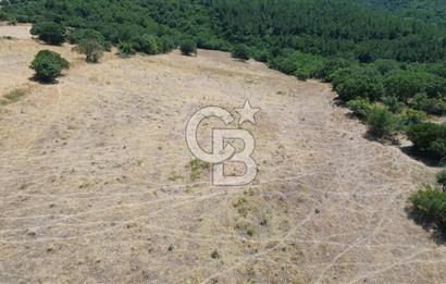 ÇANAKKALE ŞEVKETİYEDE SATILIK TARLA