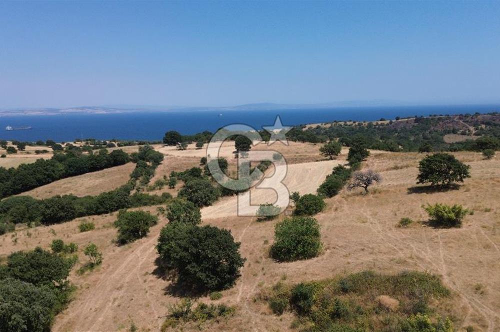 ÇANAKKALE ŞEVKETİYEDE SATILIK TARLA