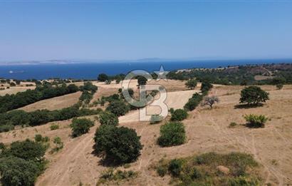 ÇANAKKALE ŞEVKETİYEDE SATILIK TARLA