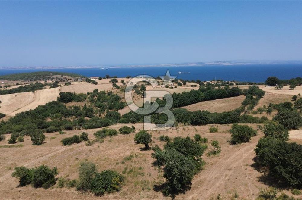 ÇANAKKALE ŞEVKETİYEDE SATILIK TARLA