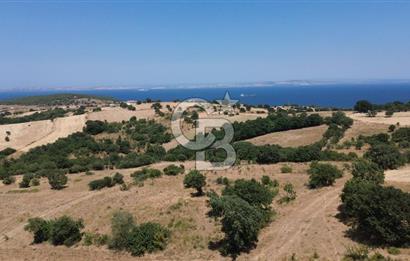 ÇANAKKALE ŞEVKETİYEDE SATILIK TARLA