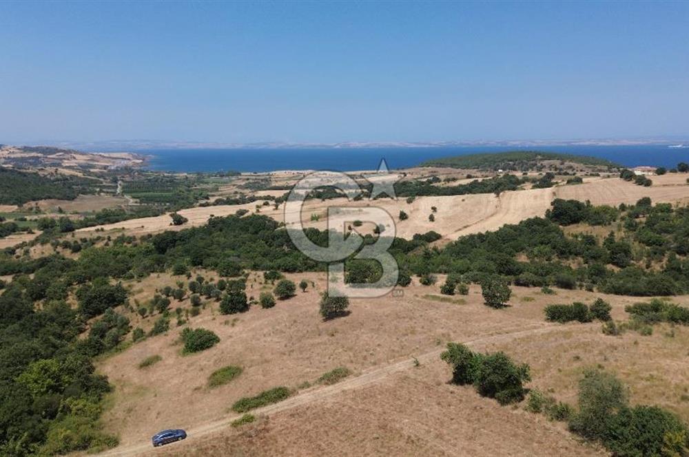 ÇANAKKALE ŞEVKETİYEDE SATILIK TARLA