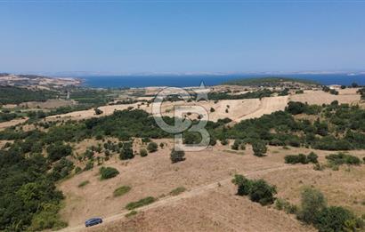 ÇANAKKALE ŞEVKETİYEDE SATILIK TARLA