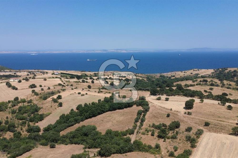 ÇANAKKALE ŞEVKETİYEDE SATILIK TARLA