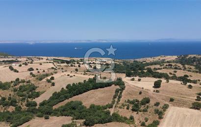 ÇANAKKALE ŞEVKETİYEDE SATILIK TARLA