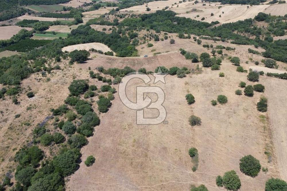 ÇANAKKALE ŞEVKETİYEDE SATILIK TARLA