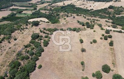 ÇANAKKALE ŞEVKETİYEDE SATILIK TARLA
