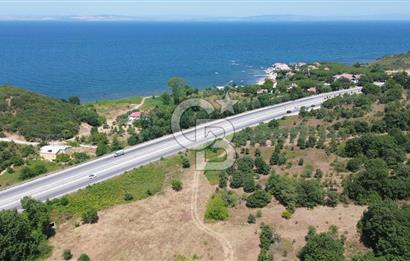 ÇANAKKALE ŞEVKETİYEDE SATILIK TARLA
