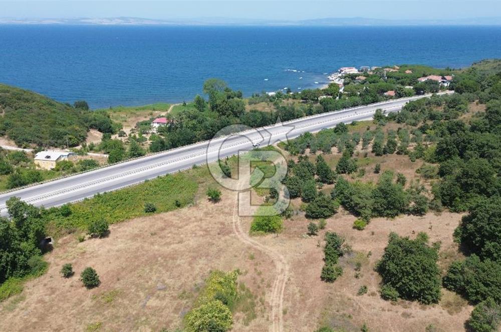 ÇANAKKALE ŞEVKETİYEDE SATILIK TARLA