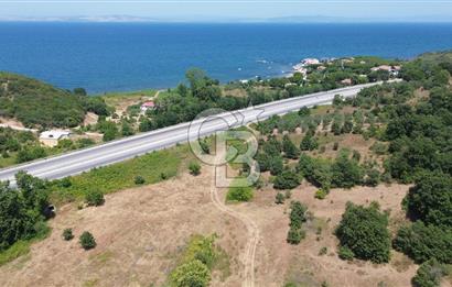ÇANAKKALE ŞEVKETİYEDE SATILIK TARLA