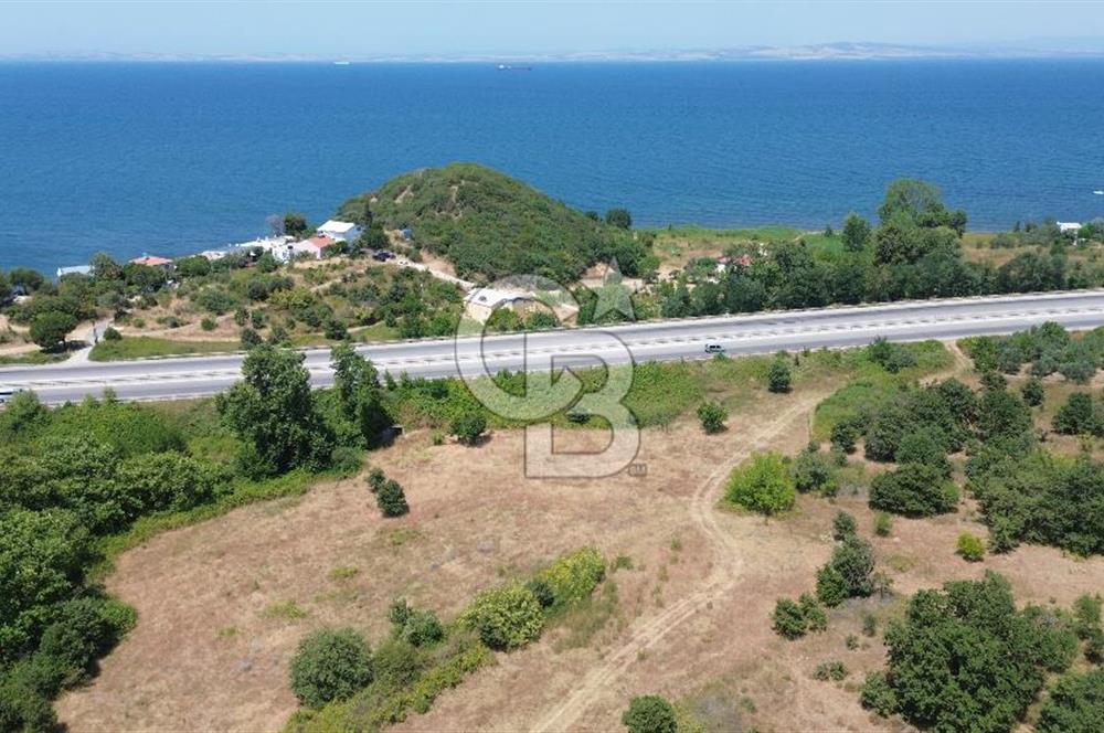 ÇANAKKALE ŞEVKETİYEDE SATILIK TARLA