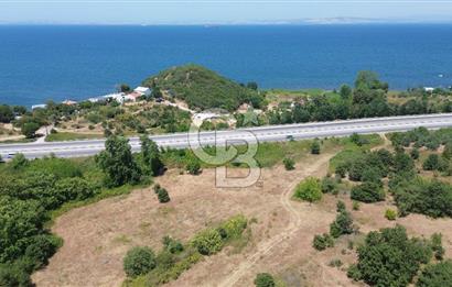 ÇANAKKALE ŞEVKETİYEDE SATILIK TARLA