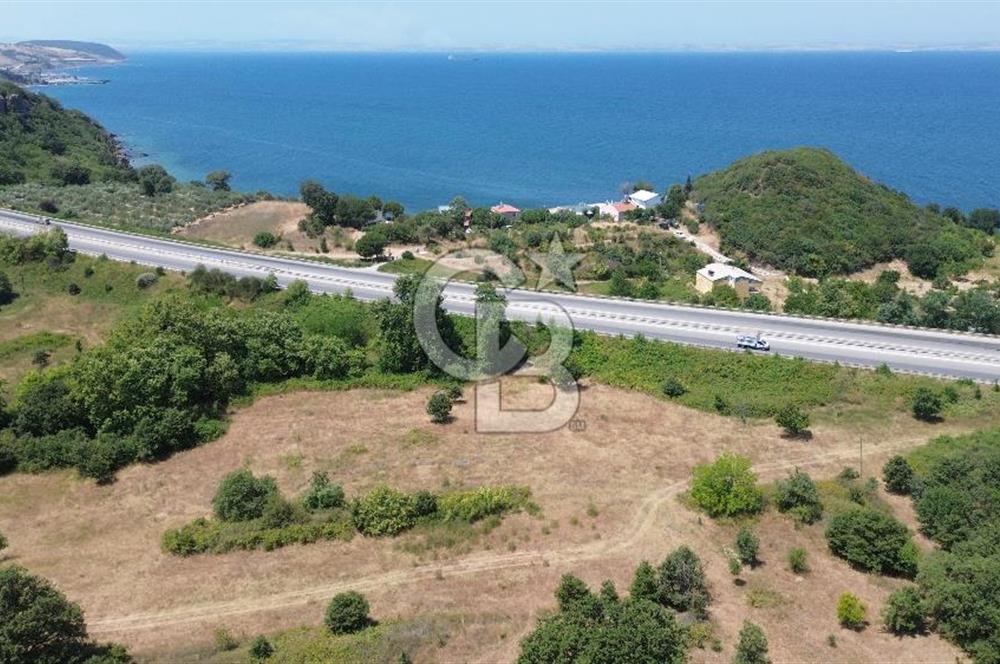ÇANAKKALE ŞEVKETİYEDE SATILIK TARLA