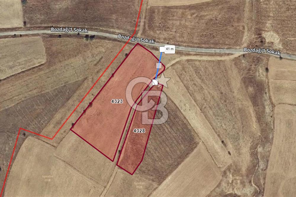 Çivril Bozdağ’da Asfalt Yola 40 Metre, 2500 m² Müstakil Tapulu Tarla!
