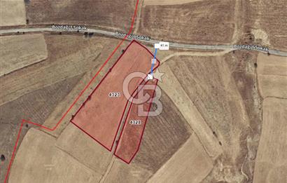 Çivril Bozdağ’da Asfalt Yola 40 Metre, 2500 m² Müstakil Tapulu Tarla!