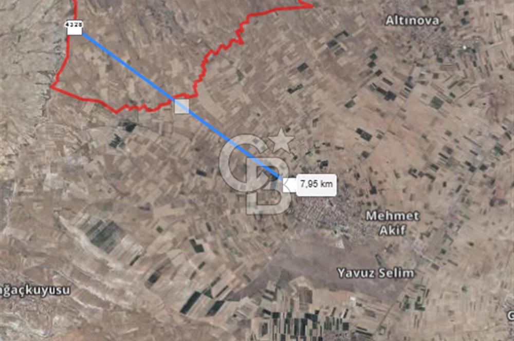 Çivril Bozdağ’da Asfalt Yola 40 Metre, 2500 m² Müstakil Tapulu Tarla!
