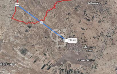 Çivril Bozdağ’da Asfalt Yola 40 Metre, 2500 m² Müstakil Tapulu Tarla!