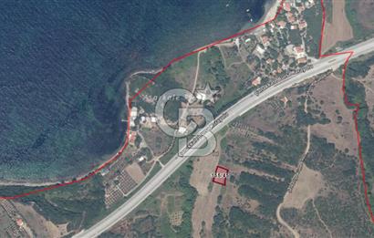 ÇANAKKALE ŞEVKETİYEDE SATILIK TARLA