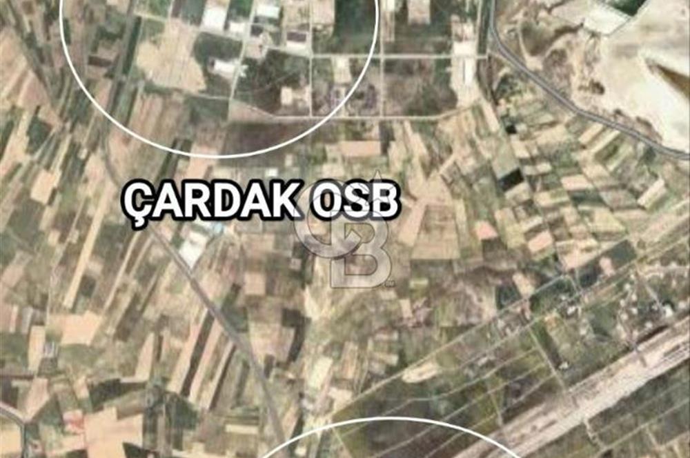 Afyon Başmakçı Küllüce’de Yeni Hayat Başlıyor!