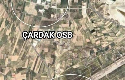 Afyon Başmakçı Küllüce’de Yeni Hayat Başlıyor!
