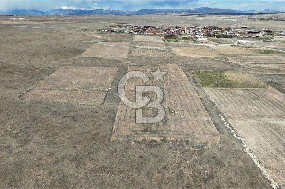 Afyon Başmakçı Küllüce’de Yeni Hayat Başlıyor!