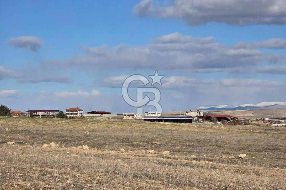 Afyon Başmakçı Küllüce’de Yeni Hayat Başlıyor!