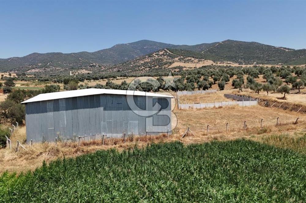 MÜSTAKİL TAPULU BAYINDIR'DA 500M2 KAPALI ALANLI SATILIK ARSA 
