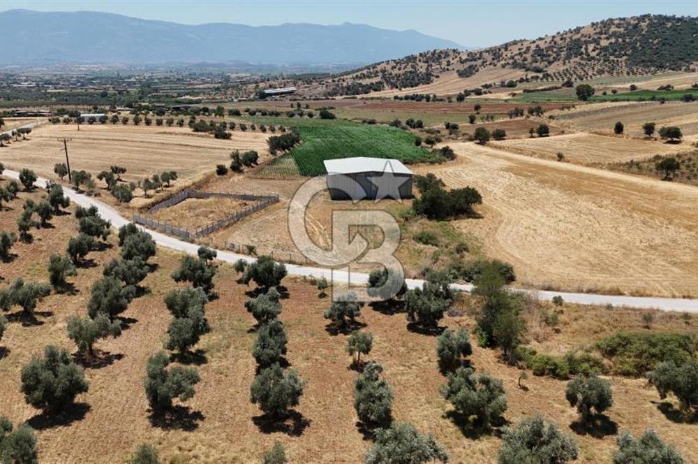 MÜSTAKİL TAPULU BAYINDIR'DA 500M2 KAPALI ALANLI SATILIK ARSA 