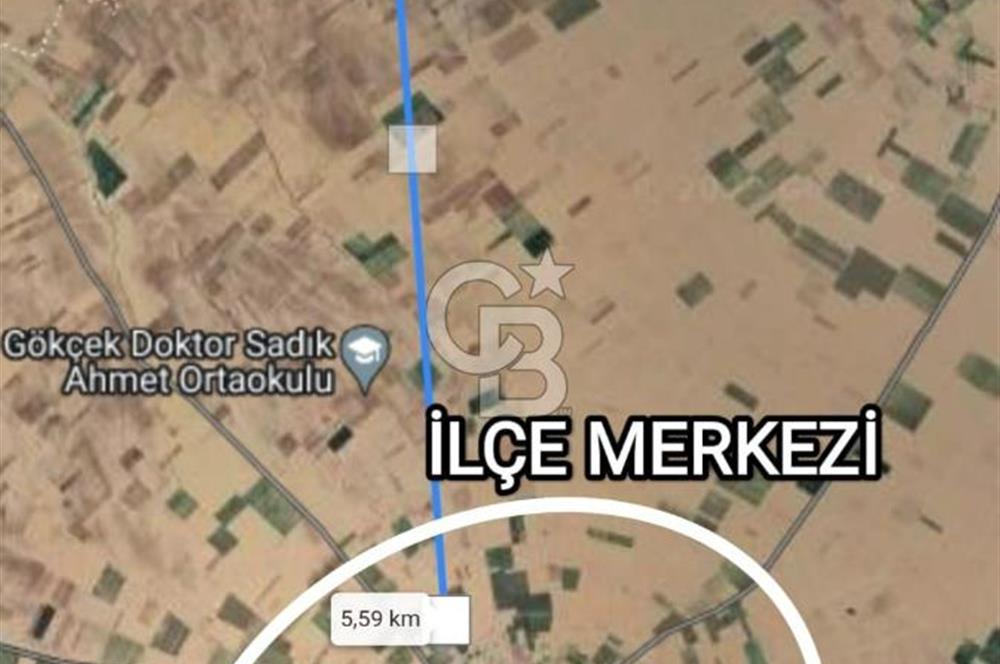 Afyon Evciler Altınova Köyünde Müstakil Tapulu 34.000 m2 Tarla