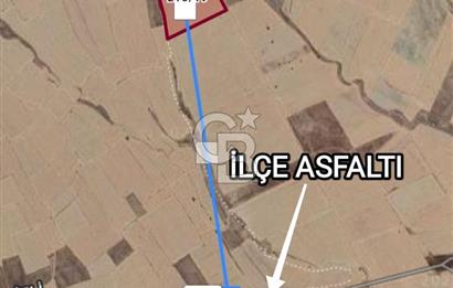 Afyon Evciler Altınova Köyünde Müstakil Tapulu 34.000 m2 Tarla